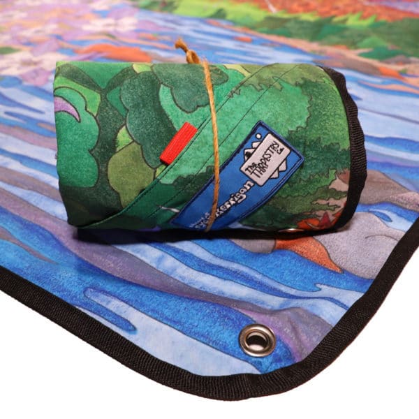 canyon light tarpestry outdoor blanket