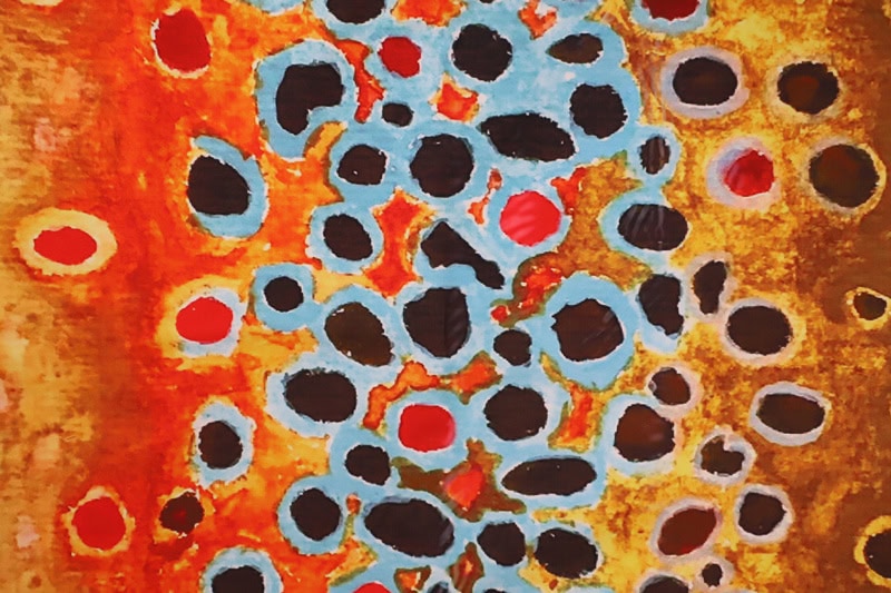 “Brown Trout” Display - Image 5