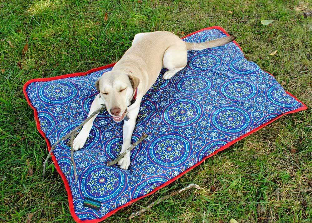 Dog laying on dog mat