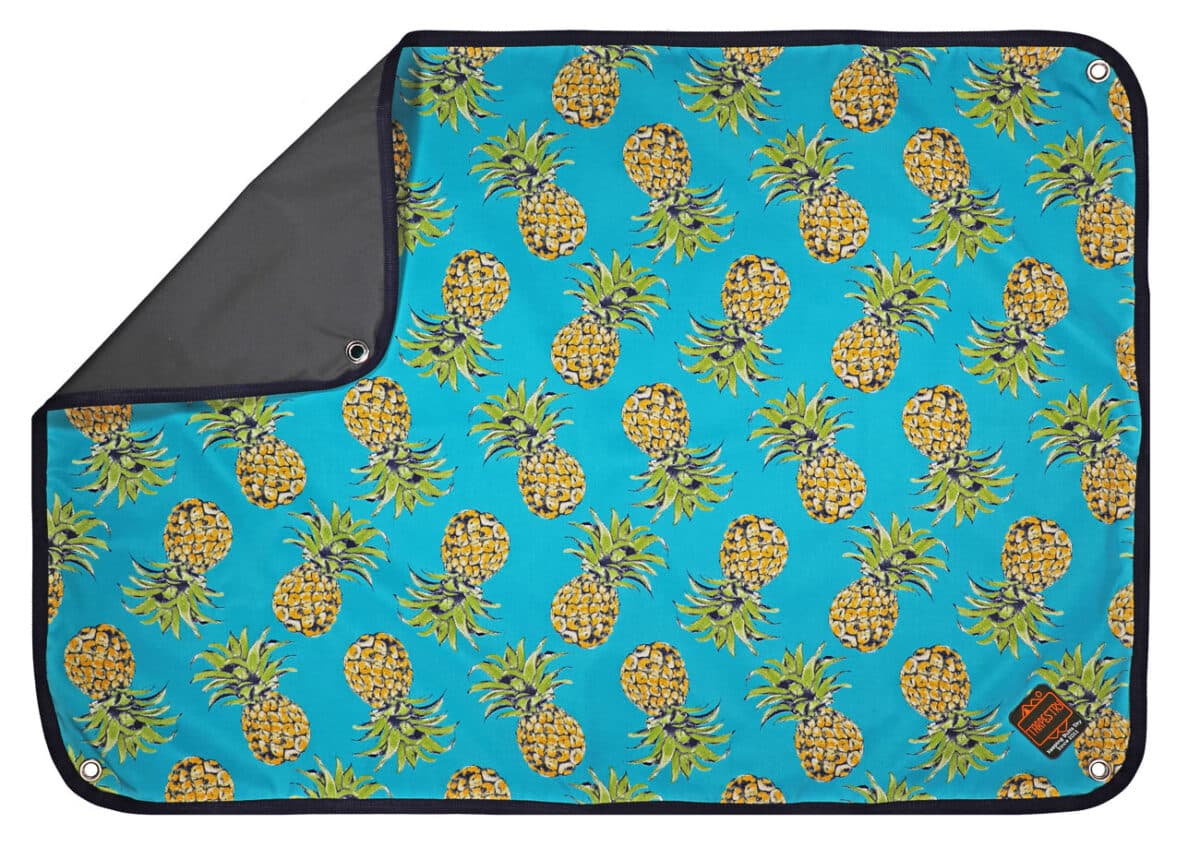 mini pineapples tarpestry camping mat