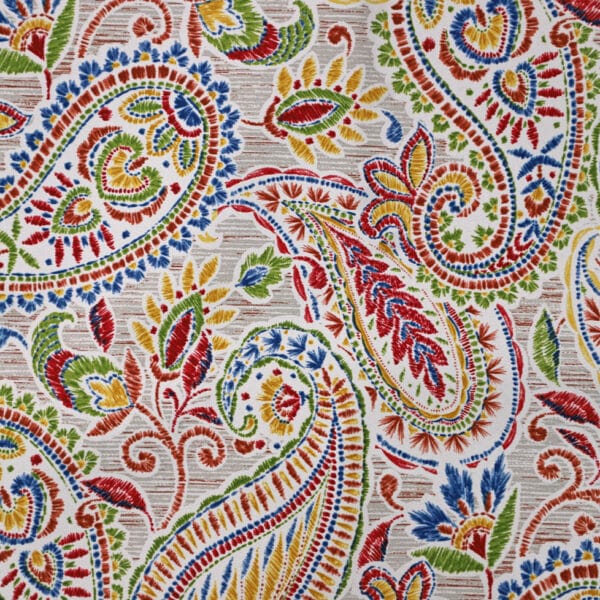 MINI Paisley