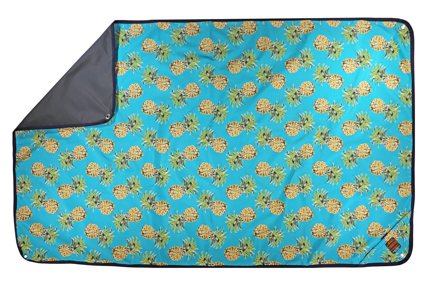pineapples camping blanket