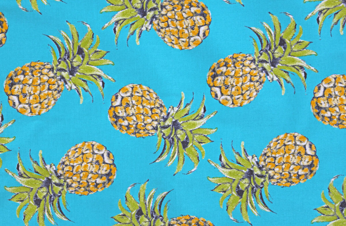 pineapples printed tarp