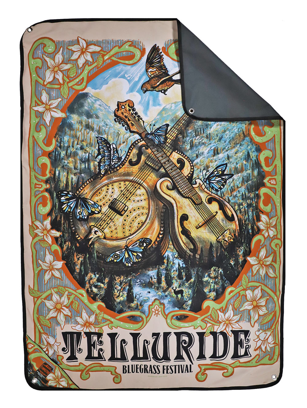 telluride-bluegrass-49-custom-tarp-low
