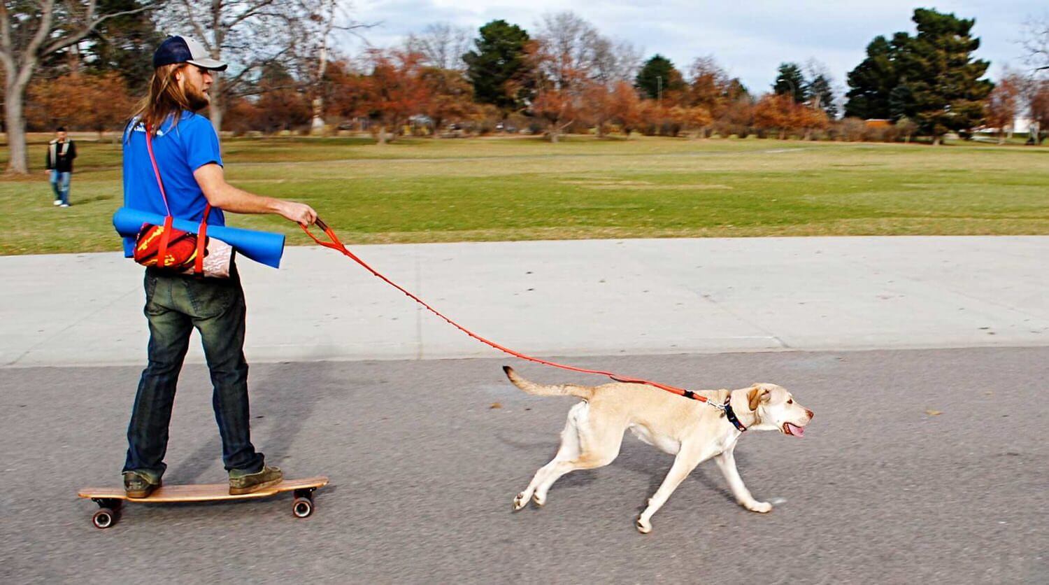 dog pulling man on skateboard with dog mat